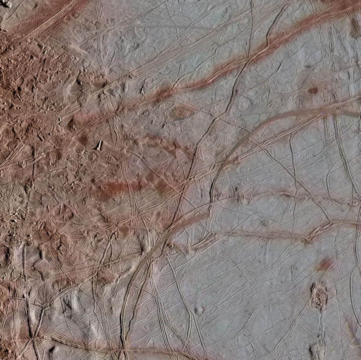 エウロパの表面