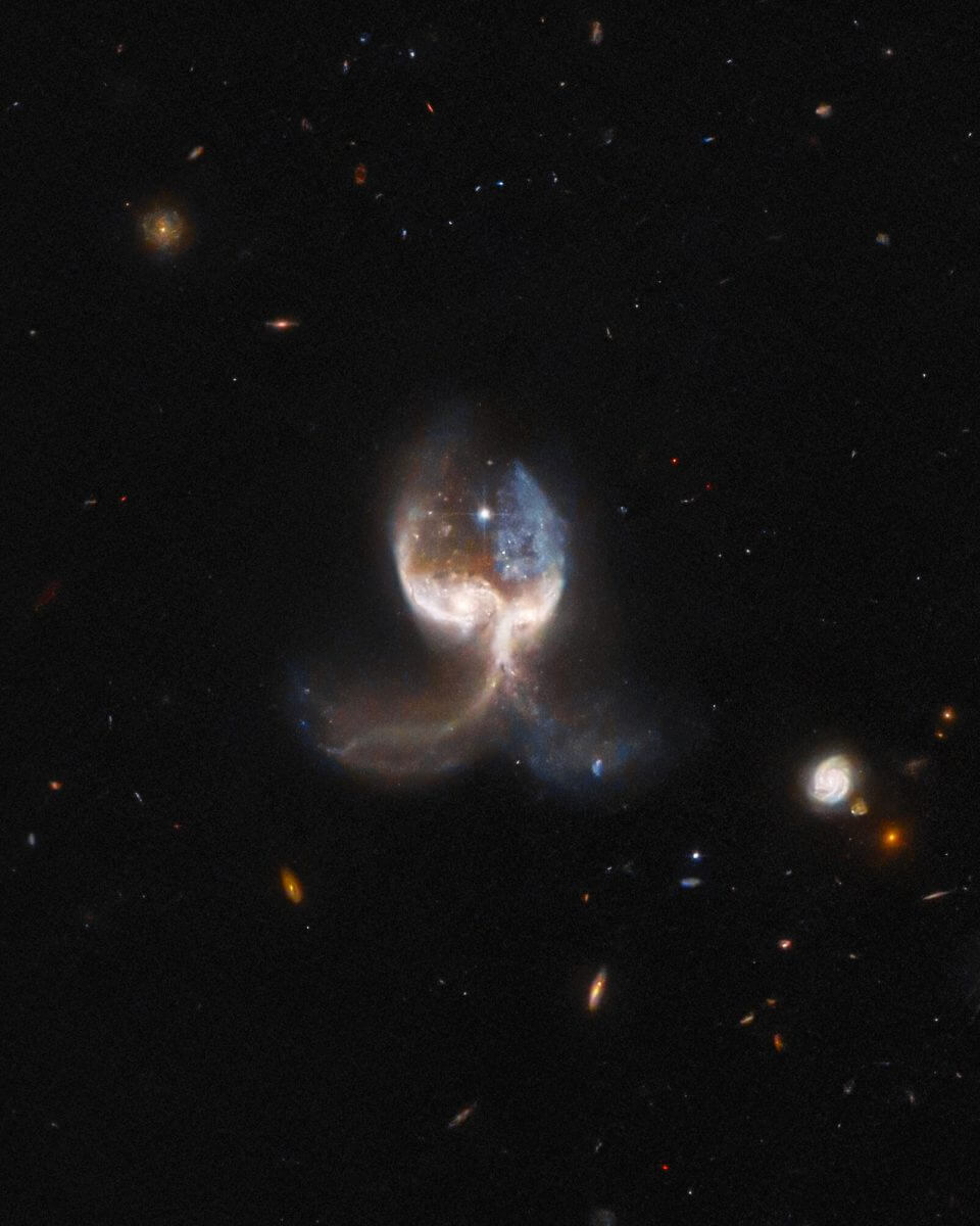 相互作用銀河「VV689」