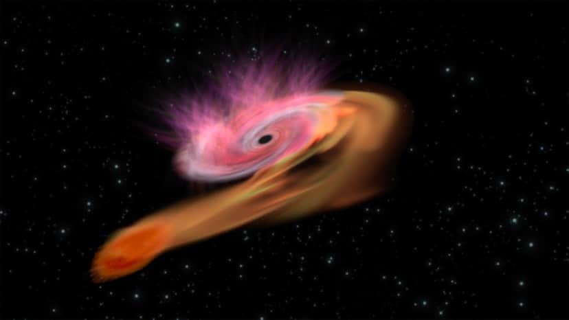 ブラックホールに近づいた星1