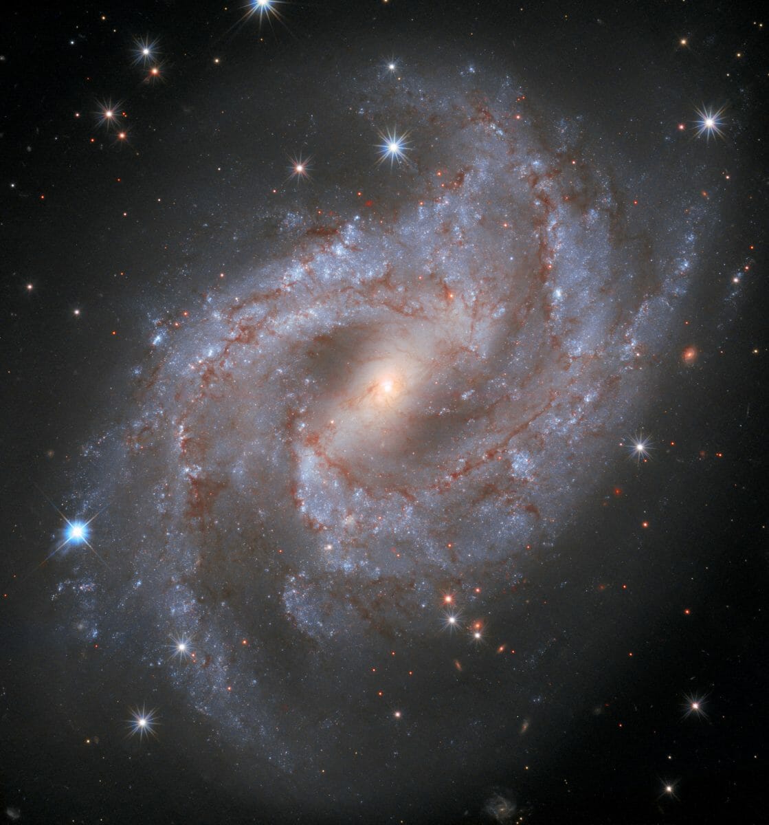 棒渦巻銀河「NGC 2525」
