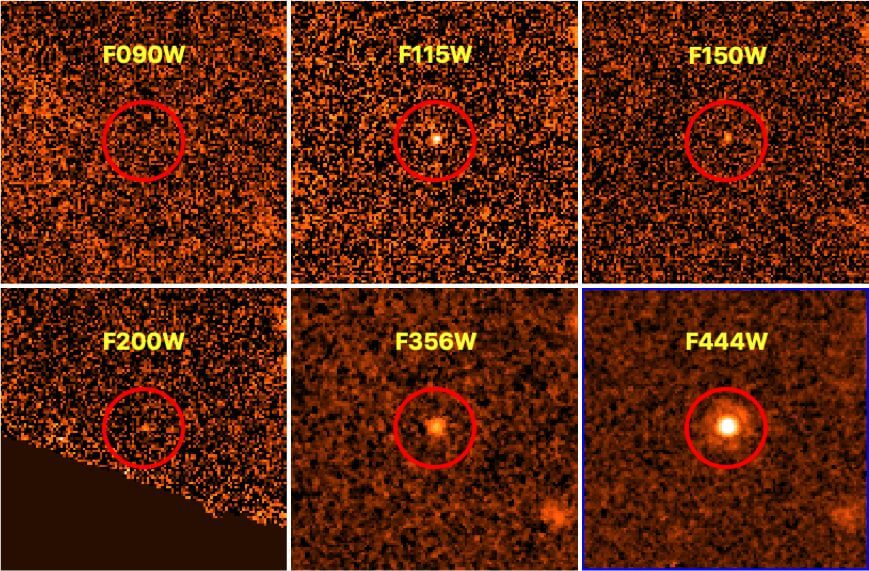 褐色矮星「GLASS-JWST-BD1」