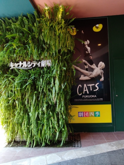 20220417_Cats_Fukuoka_Final-02.jpg