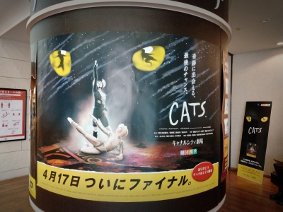 20220417_Cats_Fukuoka_Final-03.jpg