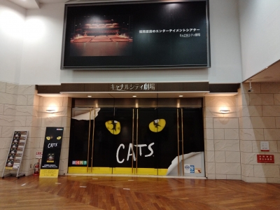 20220417_Cats_Fukuoka_Final-04.jpg