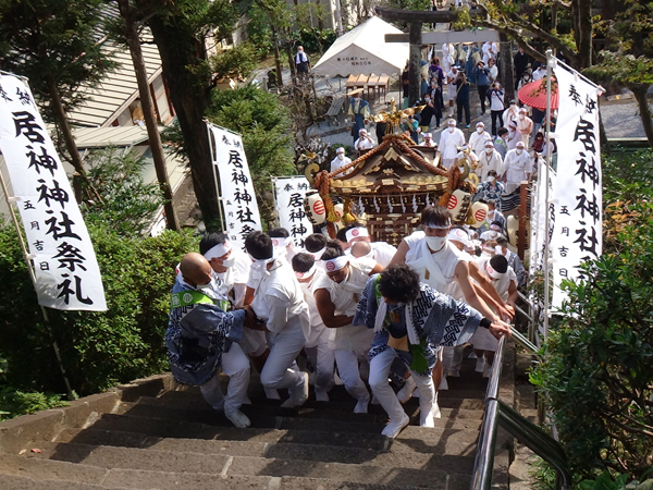 小田原市 居神神社創建五百年奉祝祭 神輿宮入