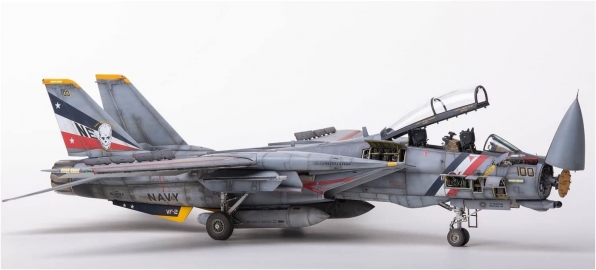アバンギャルドモデル1/48 F-14D スーパートムキャット　02