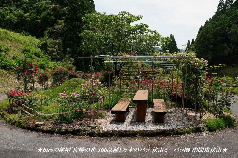 hiroの部屋 宮崎の花 100品種1万本のバラ 秋山ミニバラ園 串間市秋山