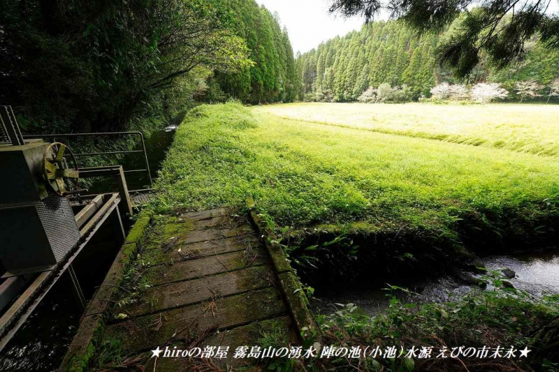 hiroの部屋 霧島山の湧水 陣の池（小池）水源 えびの市末永