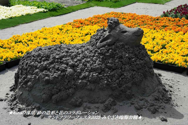 hiroの部屋 砂の造形と花のコラボレーション サンドフラワーフェスタ2022 みやざき臨海公園