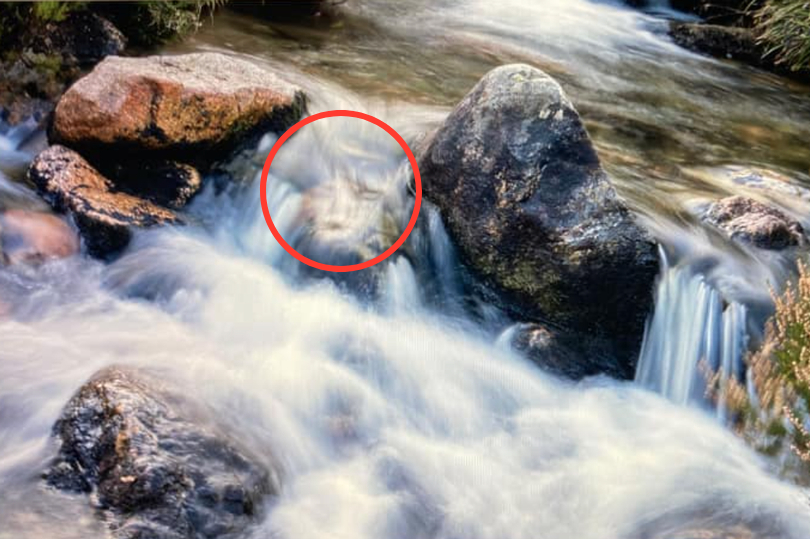 小川のせせらぎに浮かぶ女の顔。スコットランドで撮れた不気味な写真