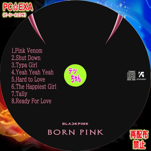 BORN PINK-P1