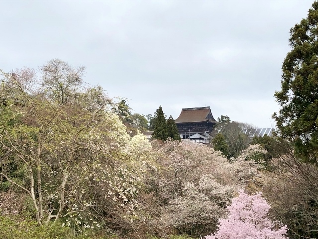 吉野　中千本　吉水神社　金峯山寺を見る