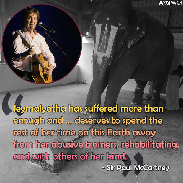 Paul McCartney - PETA India